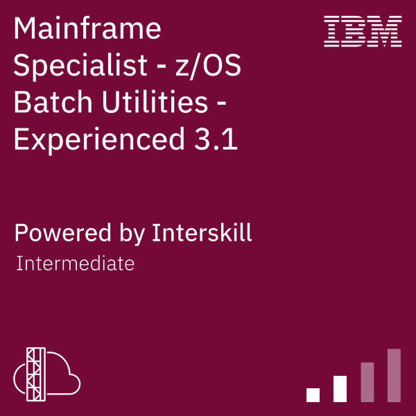 Mainframe Specialist - zOS Batch Utilities - Experienced 3.1