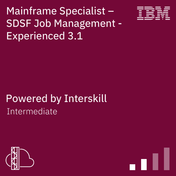 SDSF-Job-Management-Experienced-31