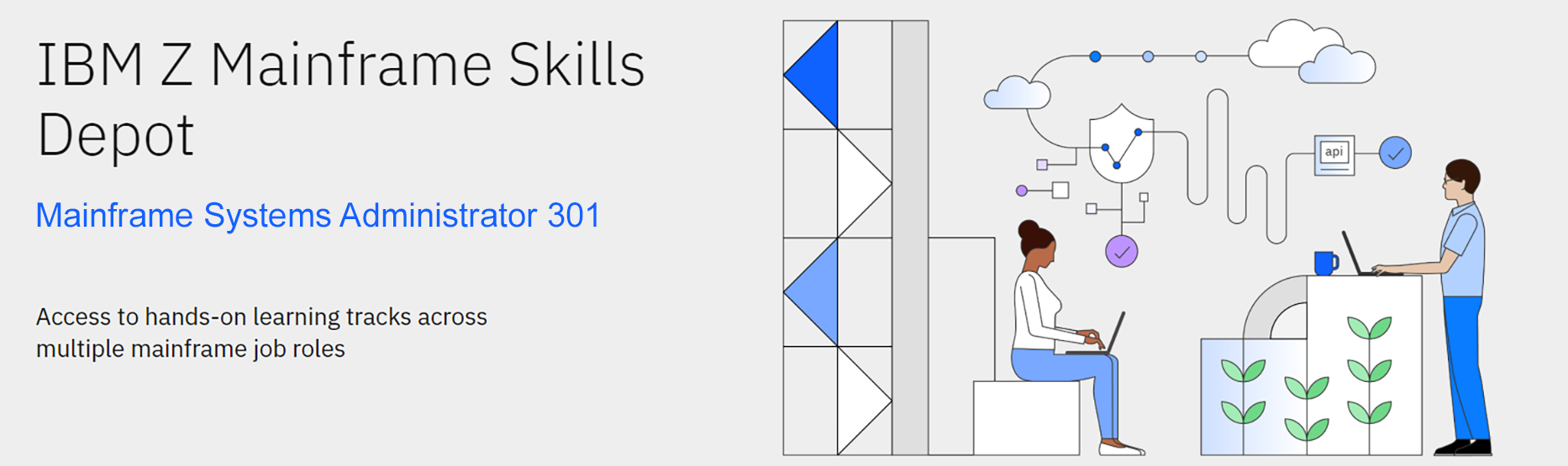 Access Mainframe System Administrator 301 - Interskill Learning