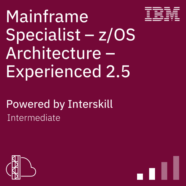 Mainframe Specialist – z/OS Architecture – Experienced 2.5